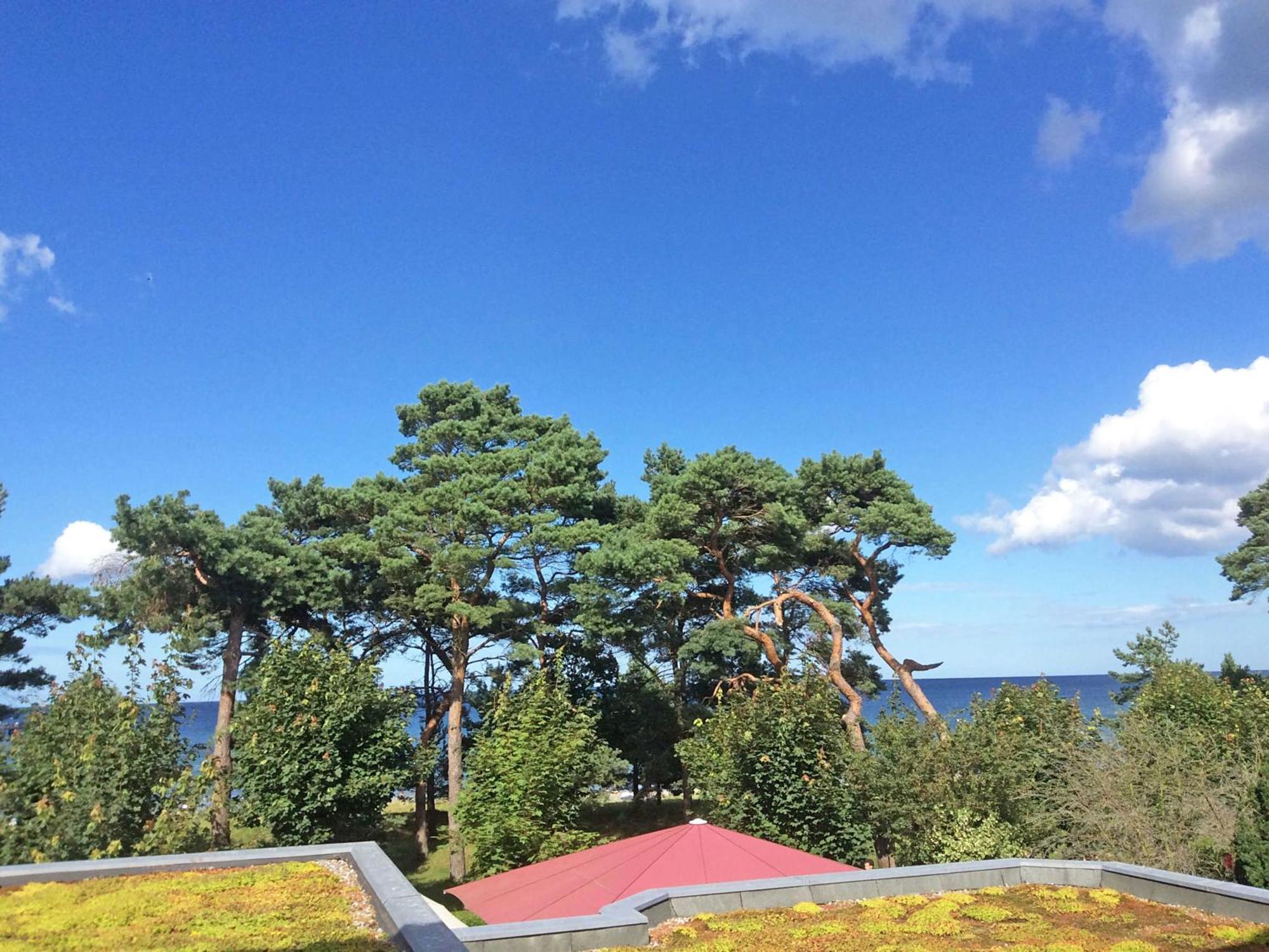 Villa Freia In Binz - Wg 11 Mit Meerblick Und Balkon 外观 照片